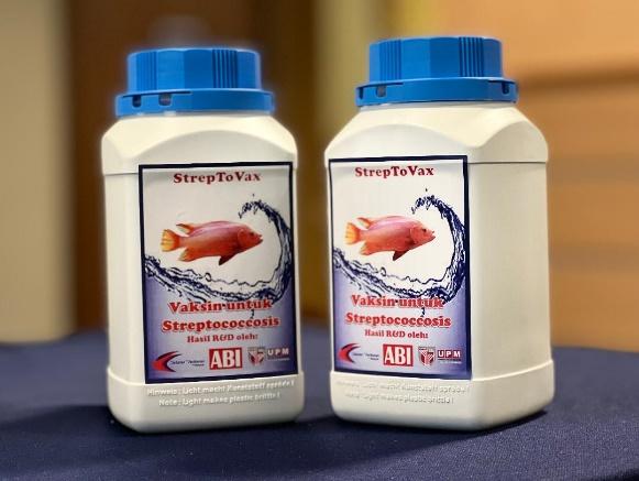 StrepToVax
